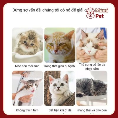 Găng Tay Ướt Vệ Sinh Đa Vị Trí Cho Thú Cưng