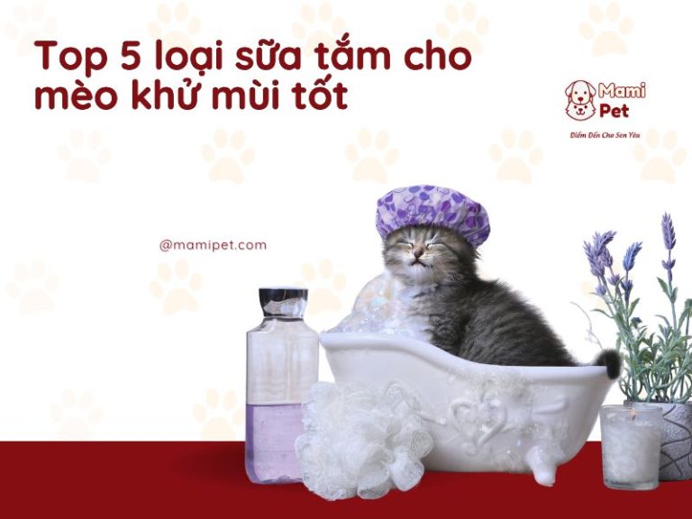 Top 5 loại sữa tắm tốt cho mèo