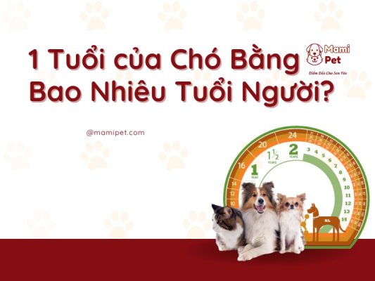 1 Tuổi của Chó Bằng Bao Nhiêu Tuổi Người?